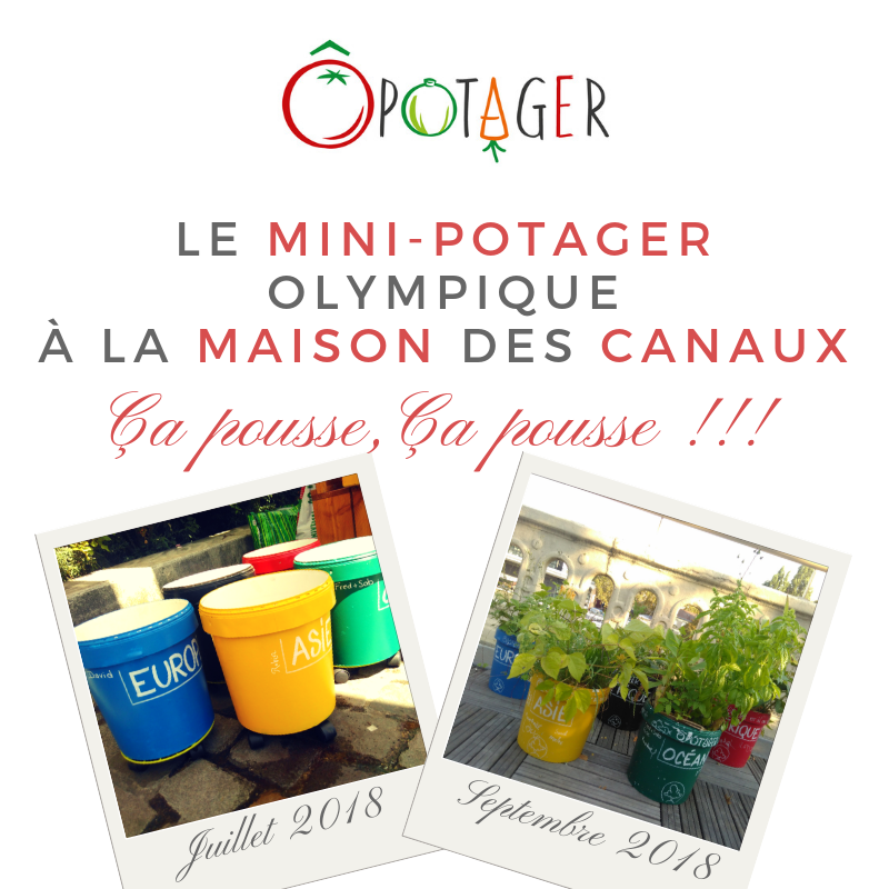 Le mini potager olympique, ça pousse, ça pousse !